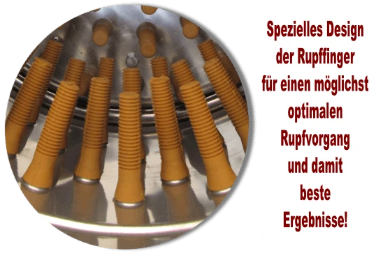 Beeketal Geflügelrupfmaschine Rupfmaschine Nassrupfmaschine Für Gänse U. Puten- BRM2250 - Image 6